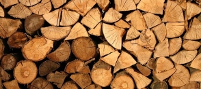 Quel bois choisir pour un projet intérieur au printemps ?