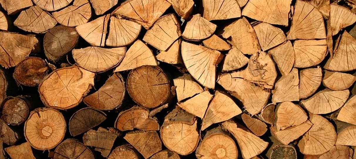 Quel bois choisir pour un projet intérieur au printemps ?