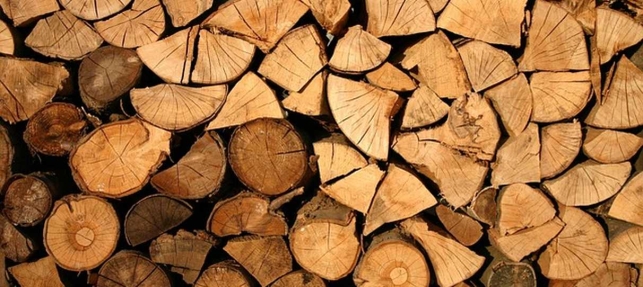 Quel bois choisir pour un projet intérieur au printemps ?